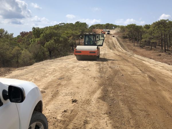 Cost of Driveway Grading in Olathe