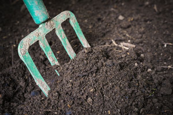 Cost of Topsoil Spreading in Olathe