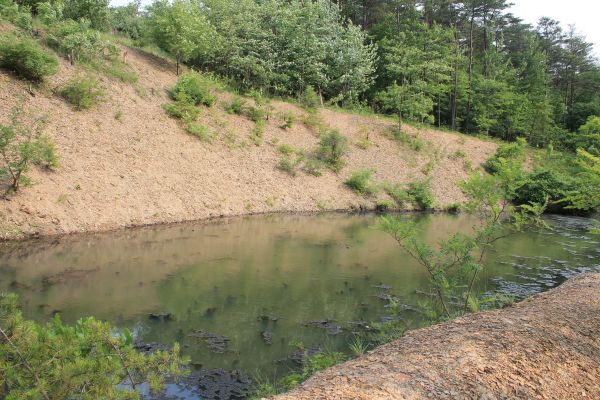 Cost of Pond Erosion Repair in Olathe