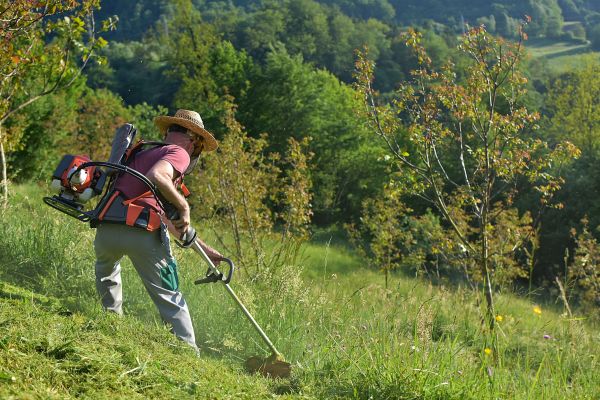 Cost of Slope Trimming in Olathe